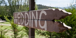 Hedgend Weddings