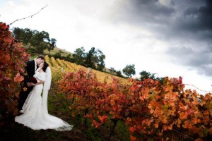 balgownie estate wedding photography