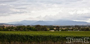 wedding photographers yarra valley