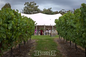 wedding photographers yarra valley