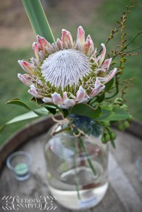 wedding photographers yarra valley